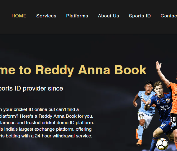 How to Navigate Reddy Anna Book Official Website