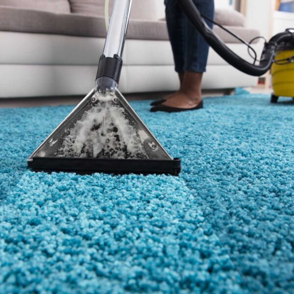 The Necessity of Professional Carpet Cleaning for High-Traffic Homes