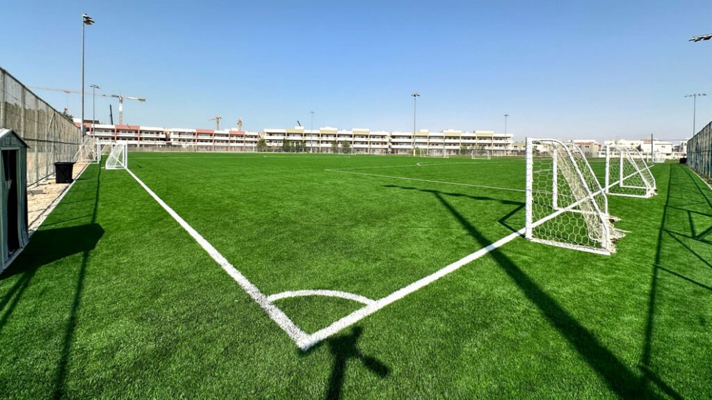 Artificial Turf